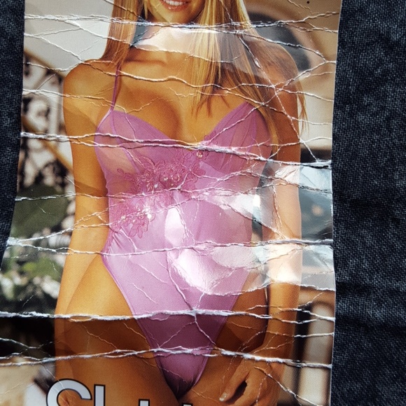 Teddy - Picture 3 of 4